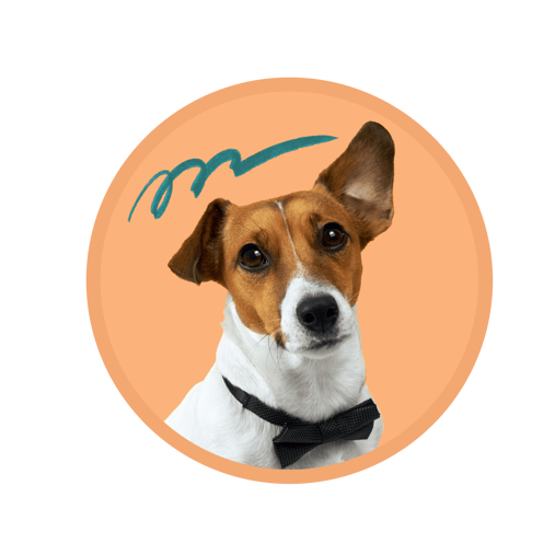 Ask for Quote Premier Pet Services 