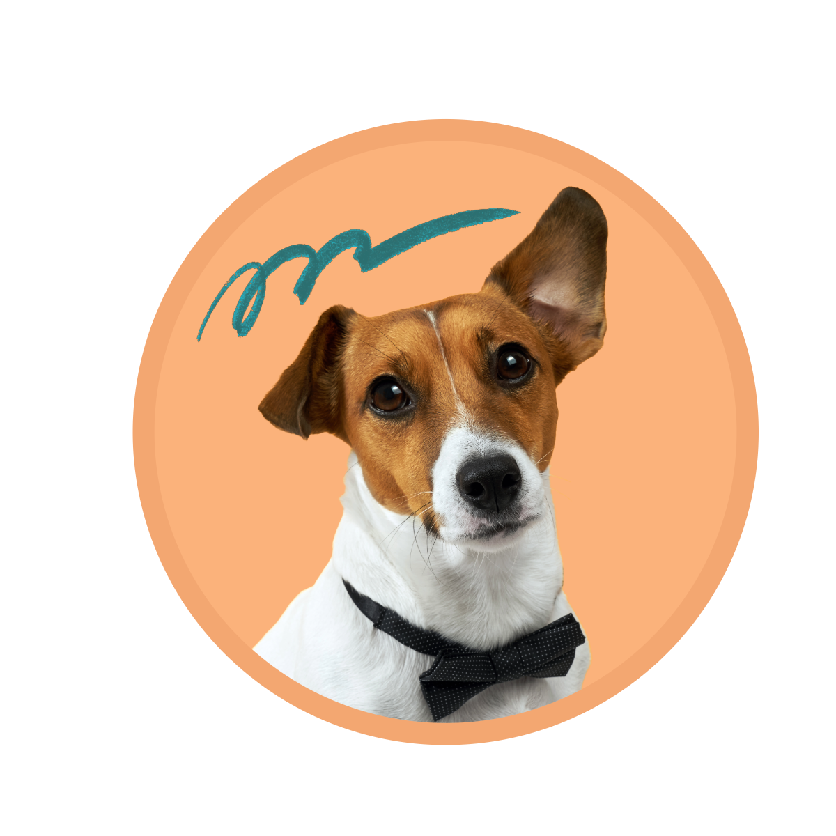 Premier Pet Services