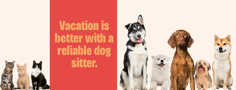Pet Boarding South Florida Premier Pet Services